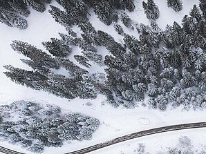 Bird eye’s view!, by Kimon Maritz