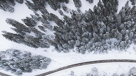Bird eye’s view!, by Kimon Maritz