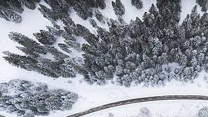 Bird eye’s view!, by Kimon Maritz